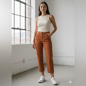 Everlane Pants Terracotta Brown High-Waist Cropped Straight Casual Woman Sz 12